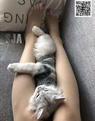 五月天蜜桃综合网_HD电影在线观看
