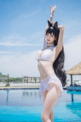 国产精品一区二区人人爽79欧美_HD高清在线